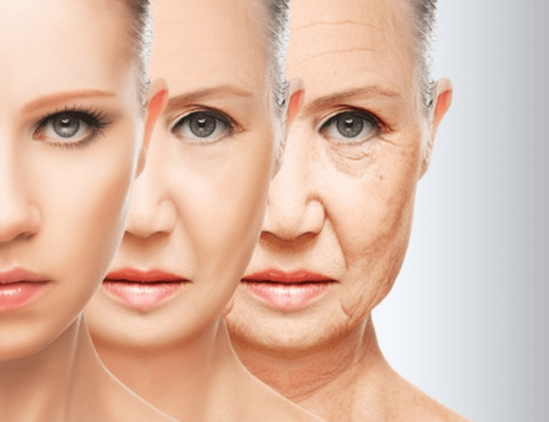 anti aging