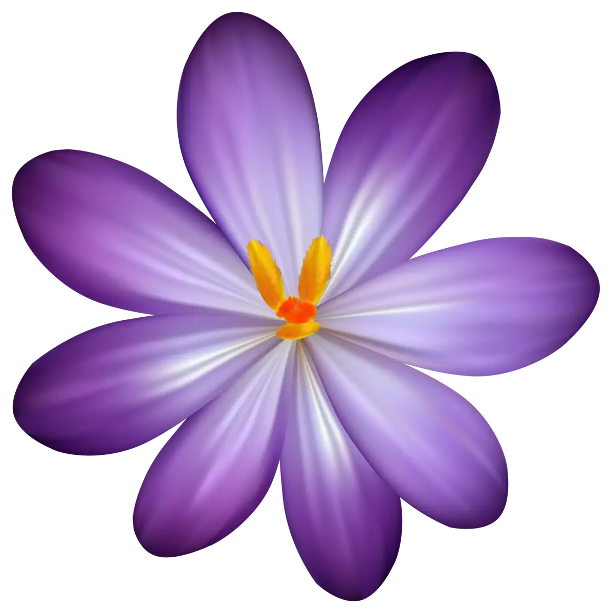 shezone flower purple